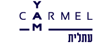Site Logo